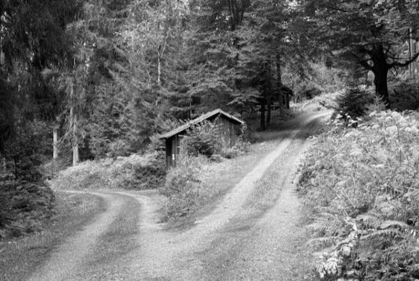 Abzweigungen und Lebenswege